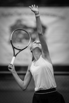 Ausschnitte 981 - Rosenpokal Uetersen